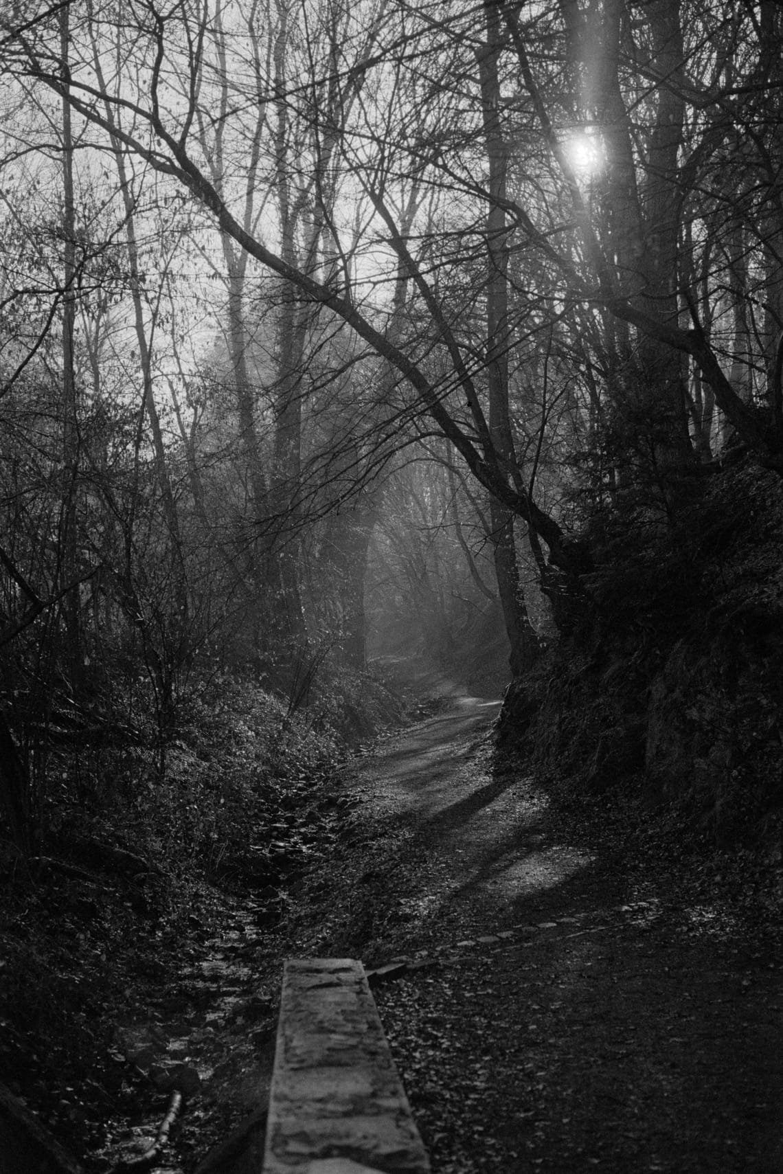 Path
