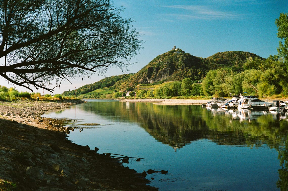 Rhine