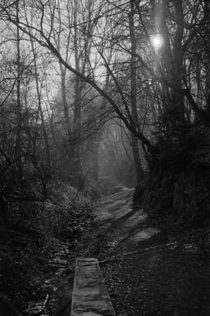 Path